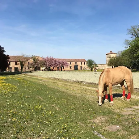 Feriegård Ca' Conti *