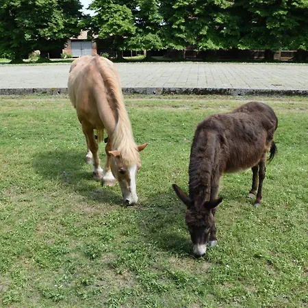 Feriegård Ca' Conti *