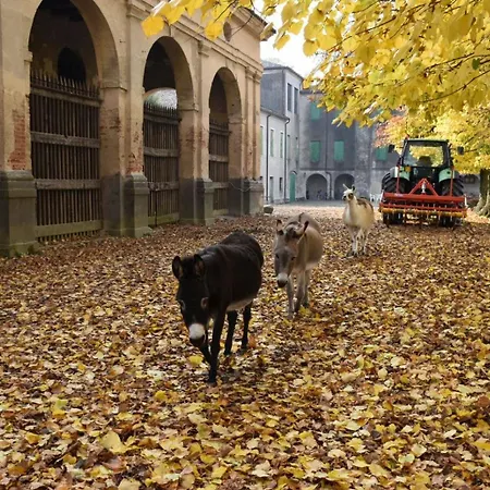 农家乐 Ca' Conti Granze