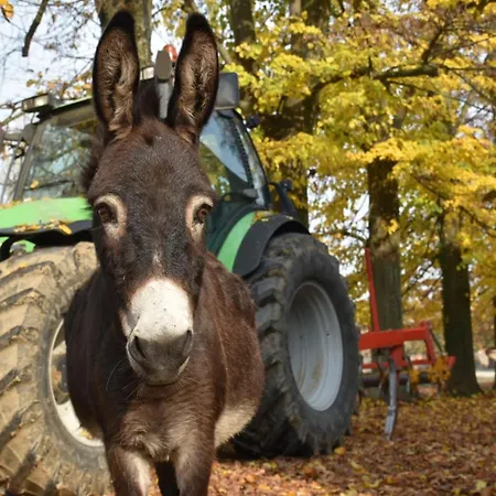 Gospodarstwo agroturystyczne Ca' Conti Granze