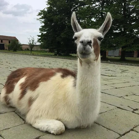 Ca' Conti 农家乐 Granze